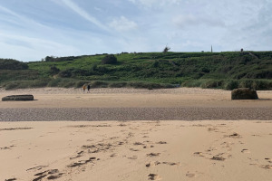 Omaha Beach Fox Green